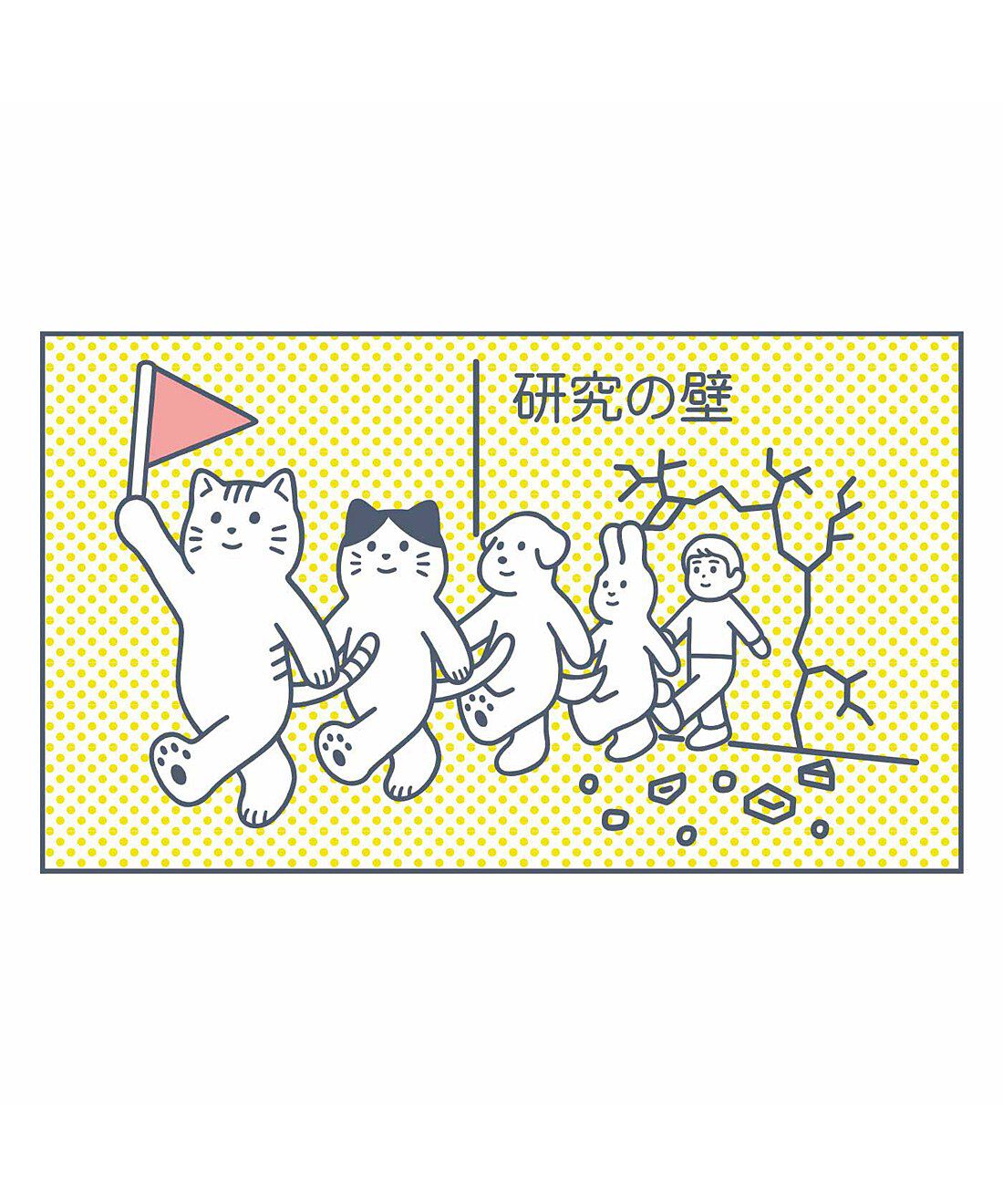 フェリシモメリー|AIM医学研究支援|猫への投与が、研究の大きなブレークスルーに！ 猫が先陣を切ってくれたおかげで将来人間や犬など、さまざまな動物の寿命が伸びるかも！？