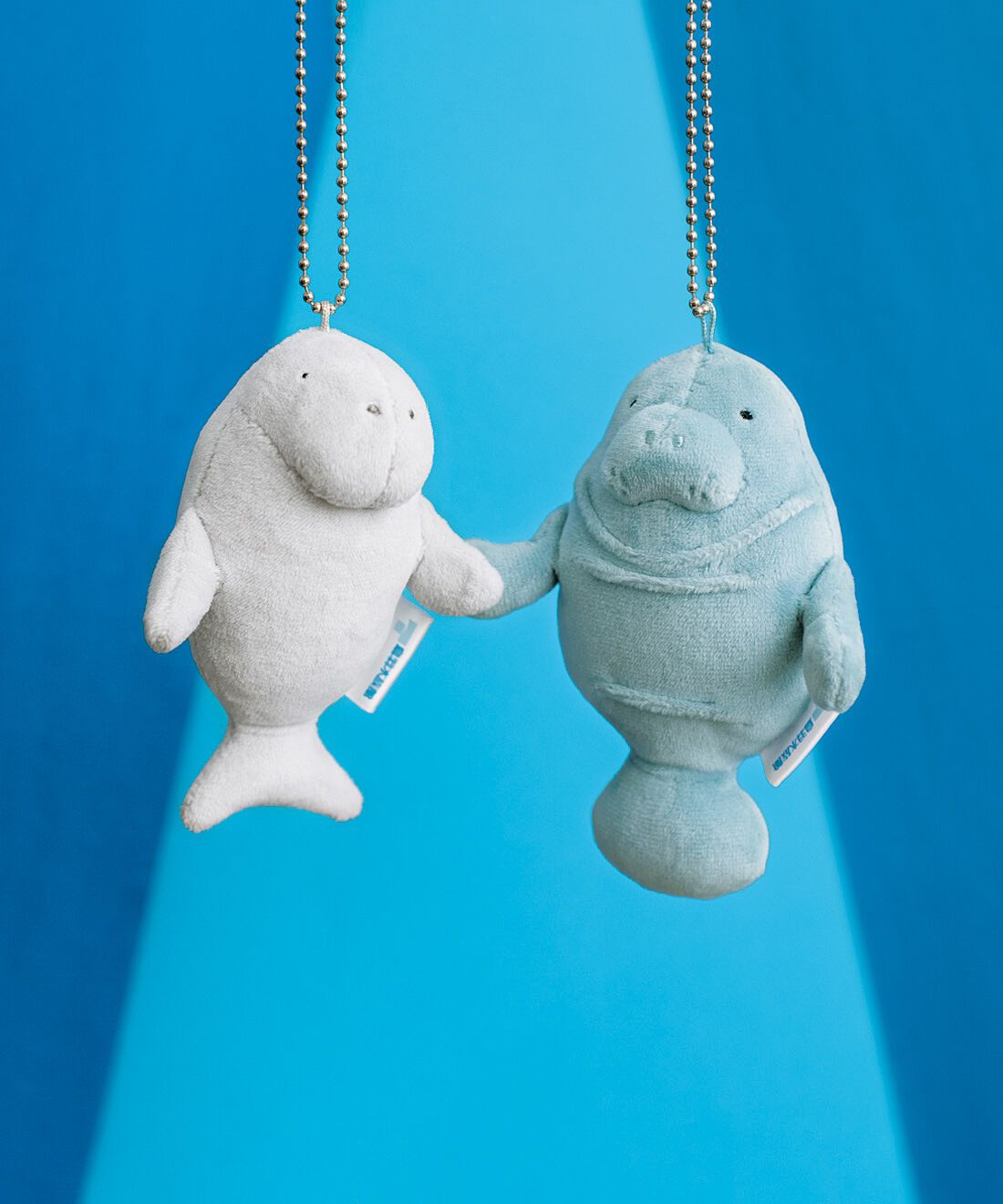 YOU+MORE!|YOU＋MORE!　ジュゴンとマナティーのなかよしマスコットセット|ジュゴンの鼻先は長く、マナティーは短いのが特徴。ジュゴンの尾びれは三日月形。マナティーの尾びれは丸みを帯びたうちわ形。