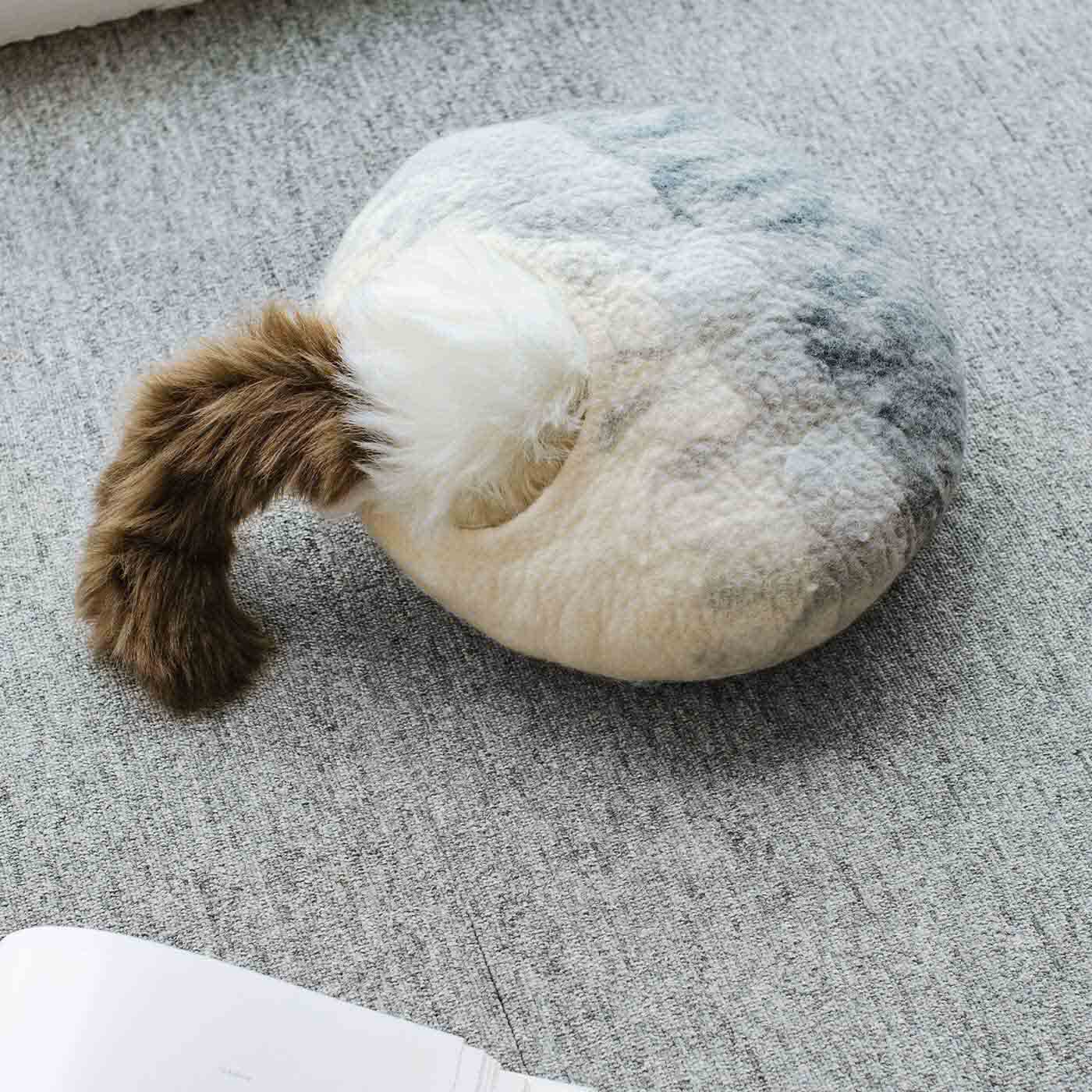 SeeMONO|【タイプが選べる】猫のいる暮らしを楽しむ フェルティングキット|7kgのコテツには小さすぎました。（※写真はぬいぐるみです）