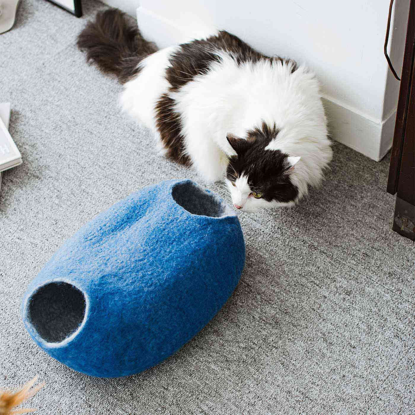 SeeMONO|【タイプが選べる】猫のいる暮らしを楽しむ フェルティングキット|モデル：コテツ（♂）7kg