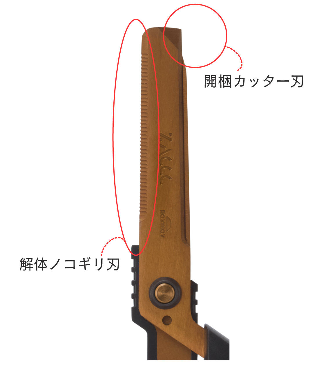 FELISSIMO PARTNERS|ダンボールもザクザク切れるはさみＺＡＣＣＣ　チタンコート刃