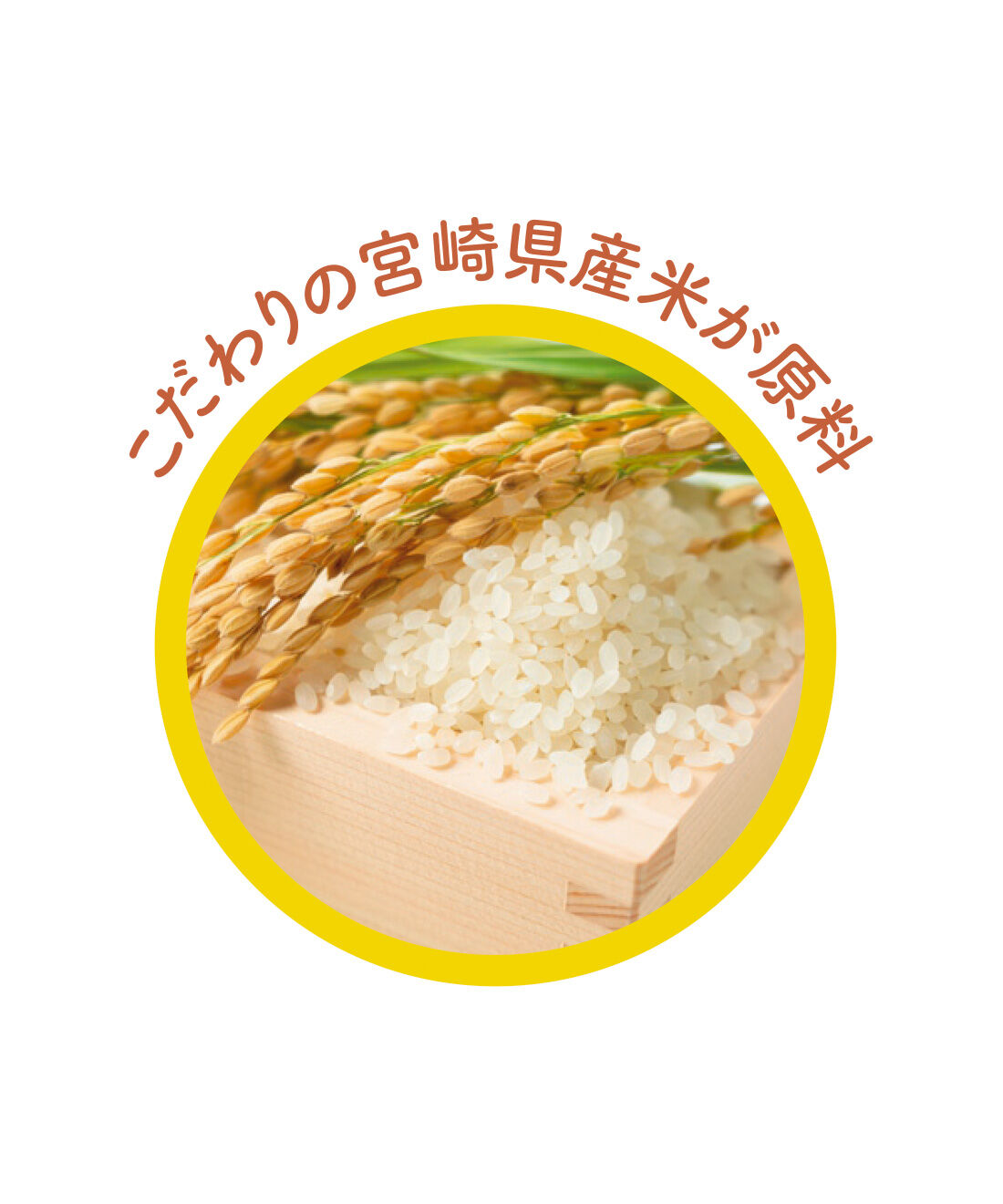 FELISSIMO PARTNERS|高千穂水の甘酒と乳酸菌から生まれた元気 ちほまろの会（6回予約）