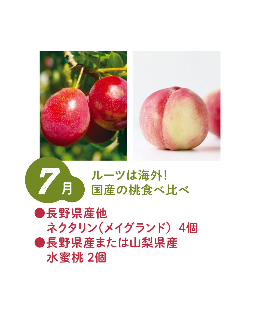 ごちSO! おとりよせマルシェ|【締切9月3日】ベストコンビをたっぷり食べ比べ！ 2種類の旬フルーツ12ヵ月コース|中国が起源の水蜜桃はみずみずしい果汁が特徴。アメリカ生まれのネクタリンは熟すと濃厚な味わいになります。（7月上旬〜中旬）