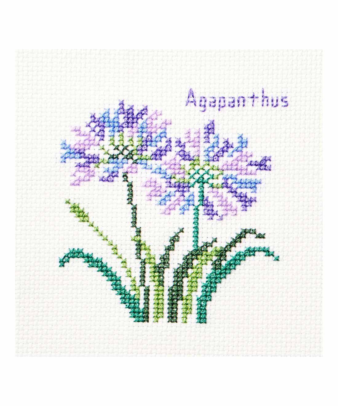 クチュリエ|【3回エントリー】植物画みたいにつづる クロスステッチサンプラーの会|アガバンサス