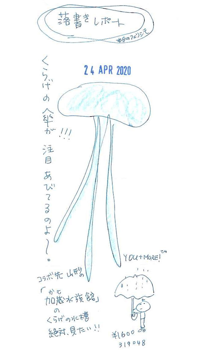くらげの傘が!!