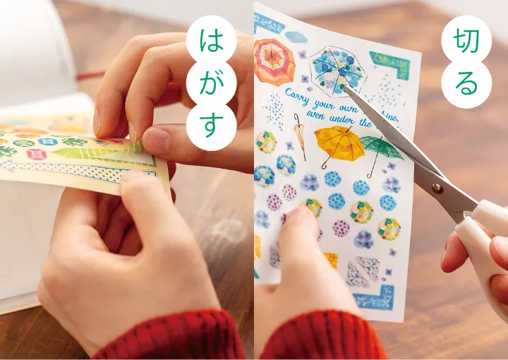 はがす　切る