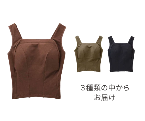 ３種類の中からお届け