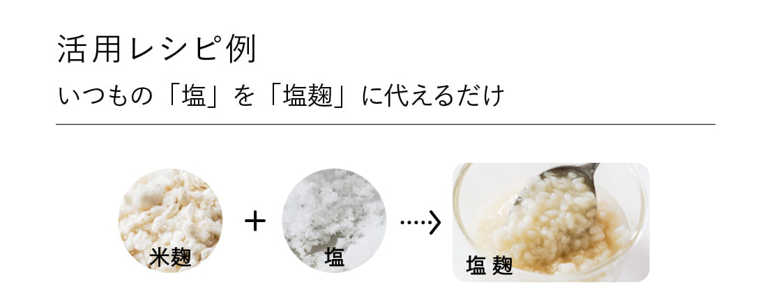 活用レシピ例