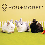 YOU＋MORE！[ユーモア]